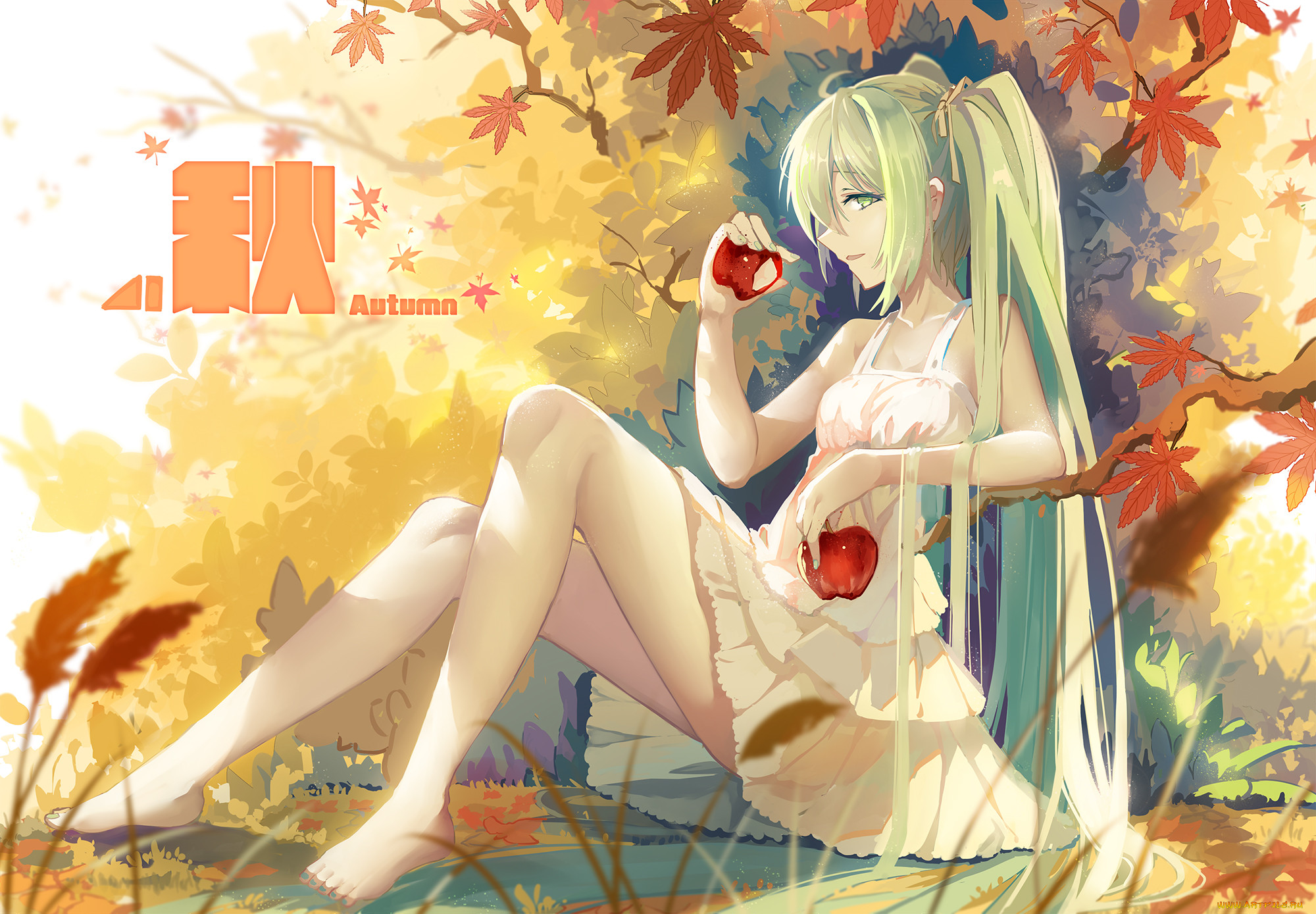 , vocaloid, , , haraguroi, you, hatsune, miku